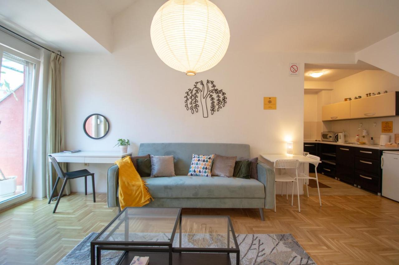 נובי סאד Spacious 1-Bedroom Apartment מראה חיצוני תמונה