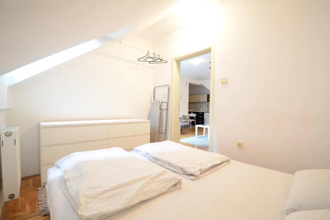 נובי סאד Spacious 1-Bedroom Apartment מראה חיצוני תמונה